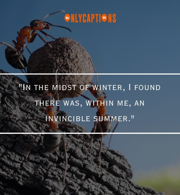 Quotes About The Myth of Sisyphus 3-OnlyCaptions