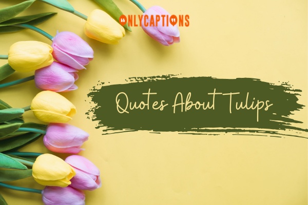 Quotes About Tulips (2024)