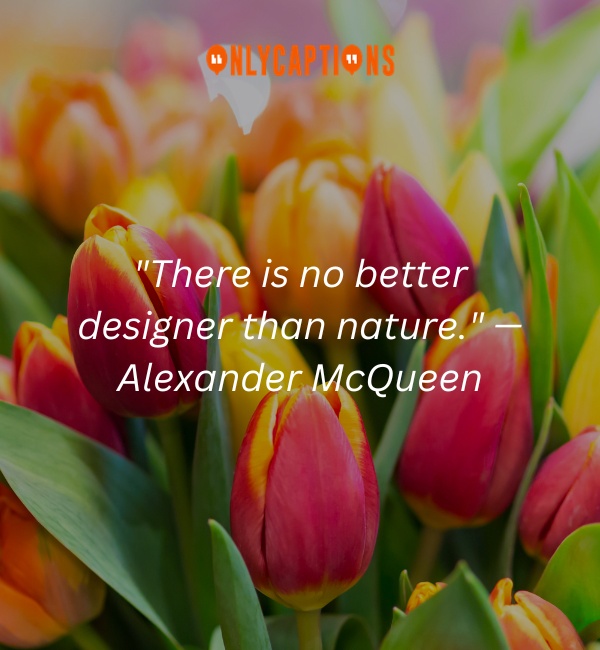 Quotes About Tulips-OnlyCaptions