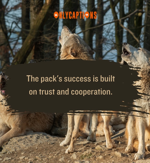 Quotes About Wolf Pack 1-OnlyCaptions
