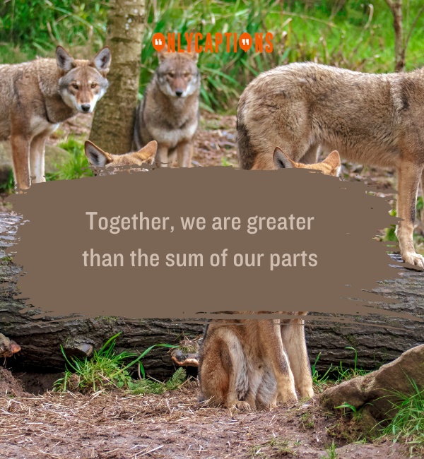 Quotes About Wolf Pack 2-OnlyCaptions