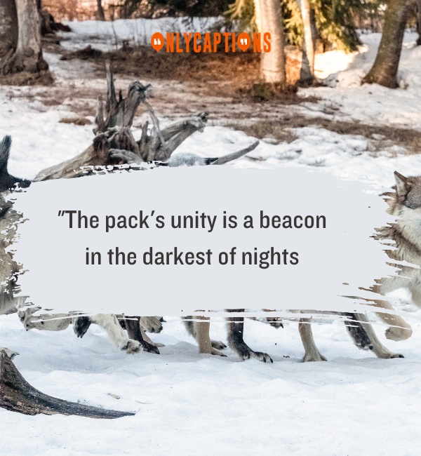 Quotes About Wolf Pack 3-OnlyCaptions