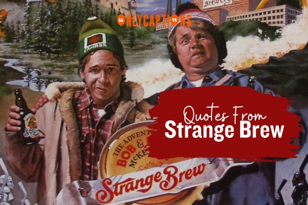 Quotes From Strange Brew 1-OnlyCaptions