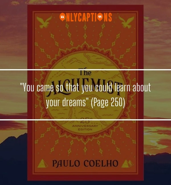 The Alchemist Quotes Page Numbers-OnlyCaptions