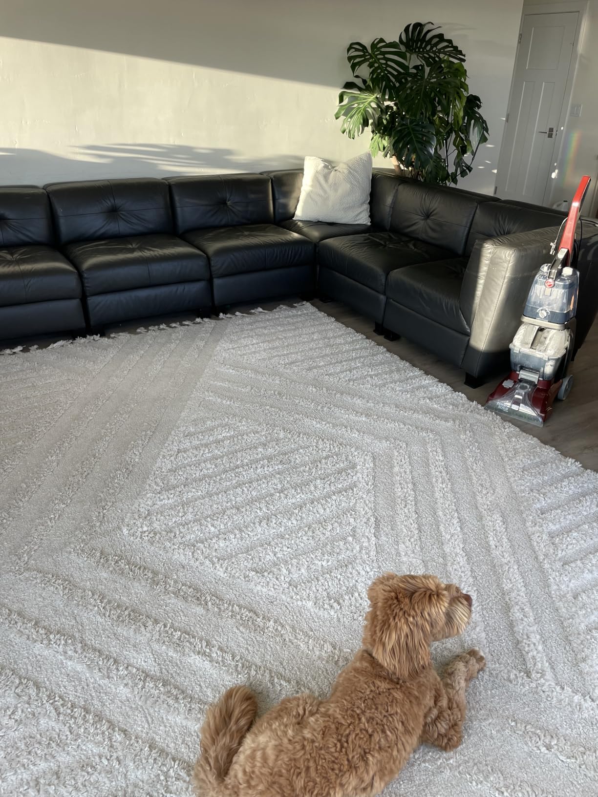 Hoover PowerScrub Deluxe Carpet Cleaner Machine, Deep Cleaning Carpet Shampooer Machine, SpinScrub Brushes, HeatForce Drying, Pet & Upholstery Tools, Pair with Hoover Carpet Cleaner Solution customer photo 1
