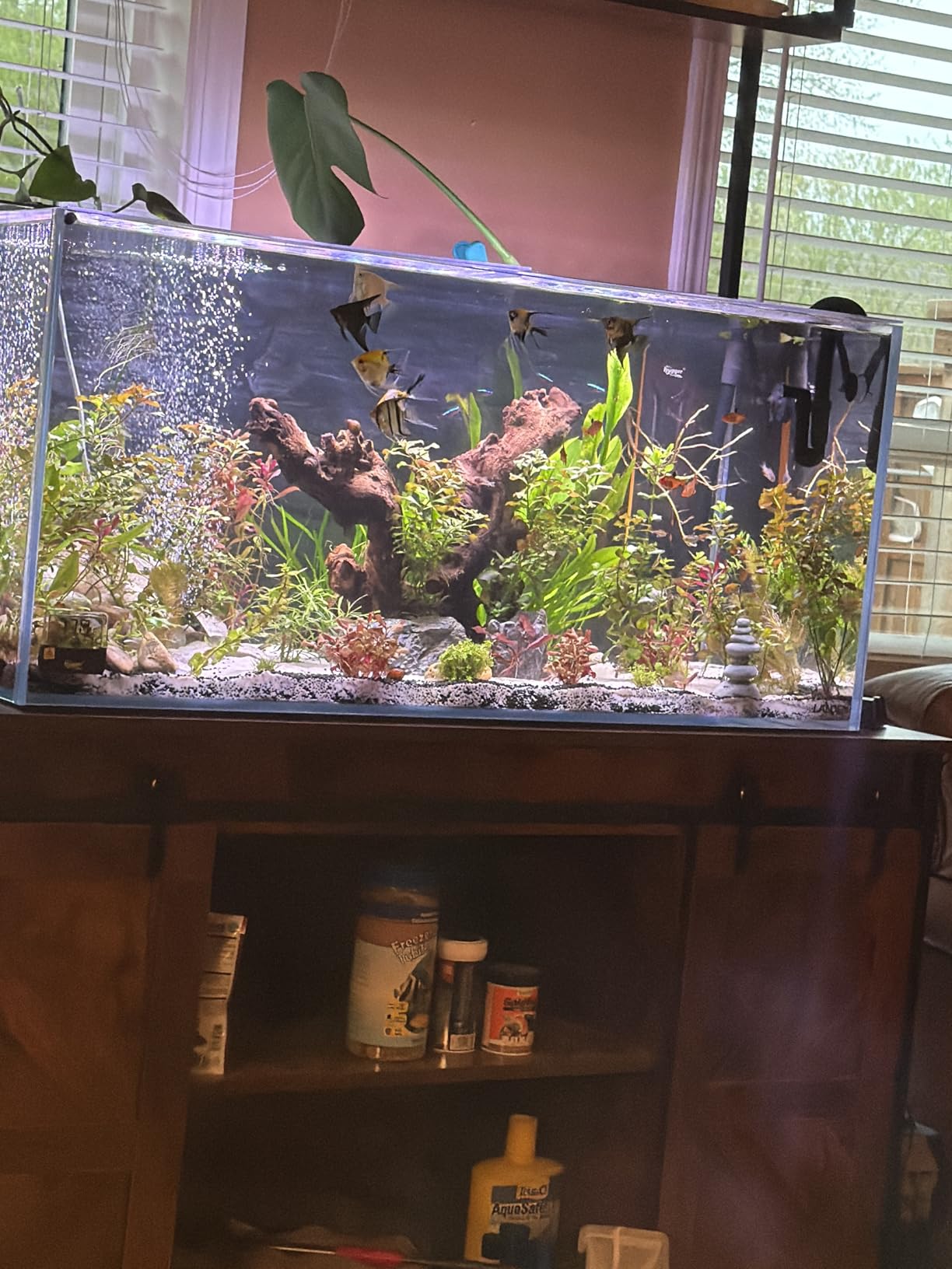 LANDEN 60P 16 Gallon Rimless Low Iron Aquarium Tank, 23.6