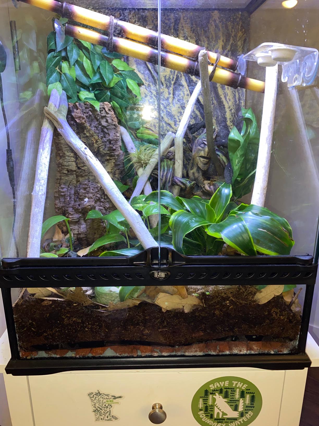 Josh's Frogs ABG Mix Tropical Plant Soil & Bioactive Terrarium Vivarium Substrate (4 Quart/1 Gallon) customer photo 1