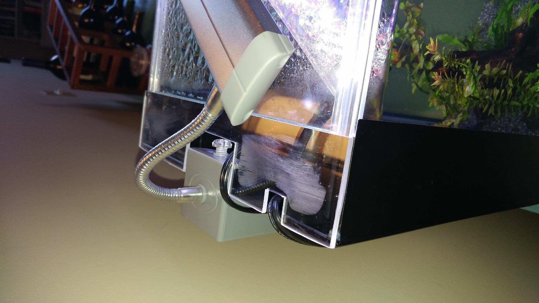 Marineland Portrait Glass LED Aquarium Kit, 5 Gallons, Hidden Filtration customer photo 2
