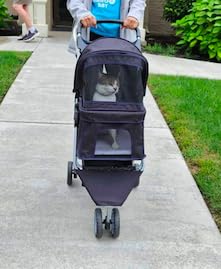 BestPet 3-Wheel Pet Stroller, Dog and Cat Stroller, Breathable Mesh, Lightweight Travel Carrier, Waterproof & Foldable Design, Storage Basket, Black customer photo 1