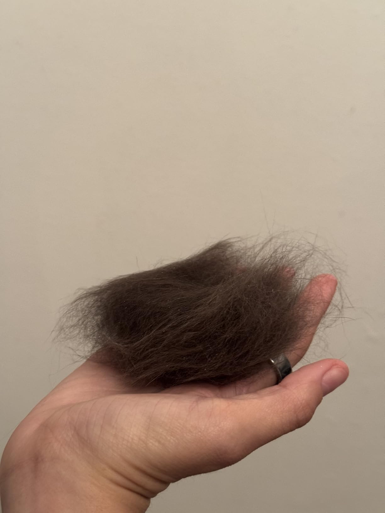 SleekEZ Deshedding Grooming Tool | Horse Brush for Horse Grooming Kit | Pet Hair Removal Tool | Curry Comb | Deshedding Brush | Shedding Comb | Works on All Hair Types | Made in USA | 1 pack | 10 inch customer photo 1