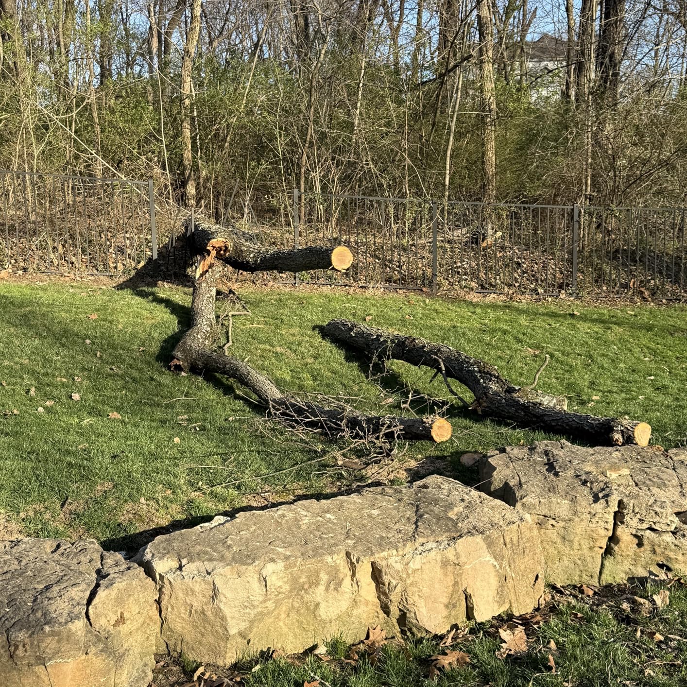 EGO POWER+ Chain Saw, 14