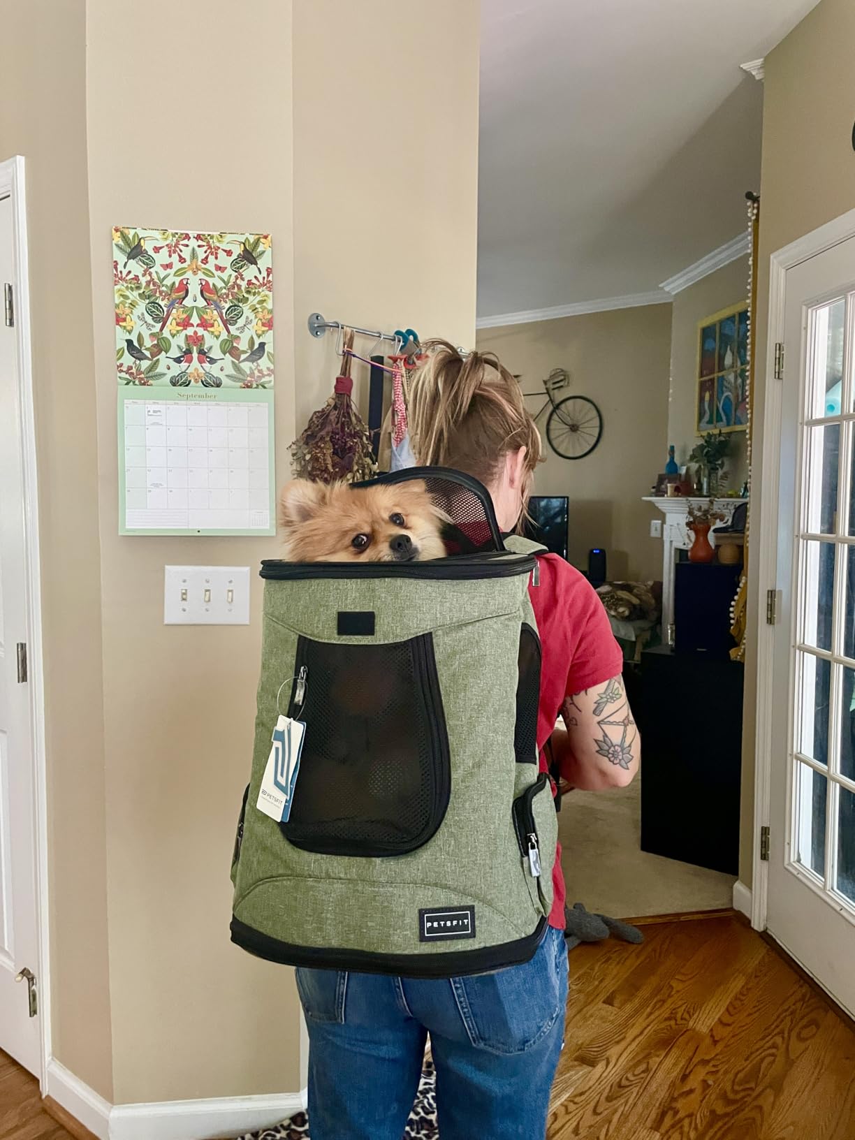 Petsfit Pet Backpack Carrier Easy-Fit Dog Travel Backpack Carrier for Hiking Walking Cycling Suitable for Small Medium Dogs Cats and Rabbits up to 22 Pounds, Green customer photo 2