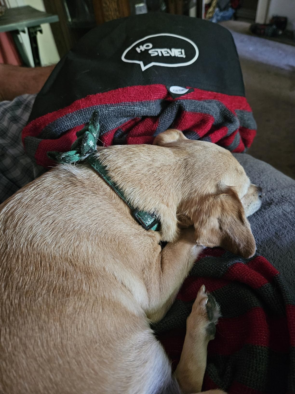 Ho Stevie! Surfboard Sock Cover - Thicker and More Protective Bag For Your Surf Board [Choose Size and Color] customer photo 2