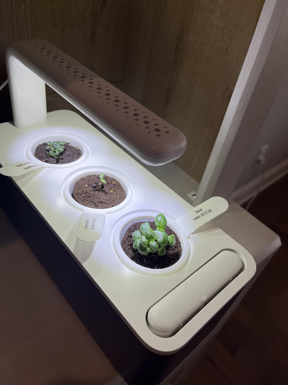 Click & Grow Indoor Herb Garden Kit with Grow Light | Smart Garden for Home Kitchen Windowsill | Easier Than Hydroponics Growing System customer photo 1