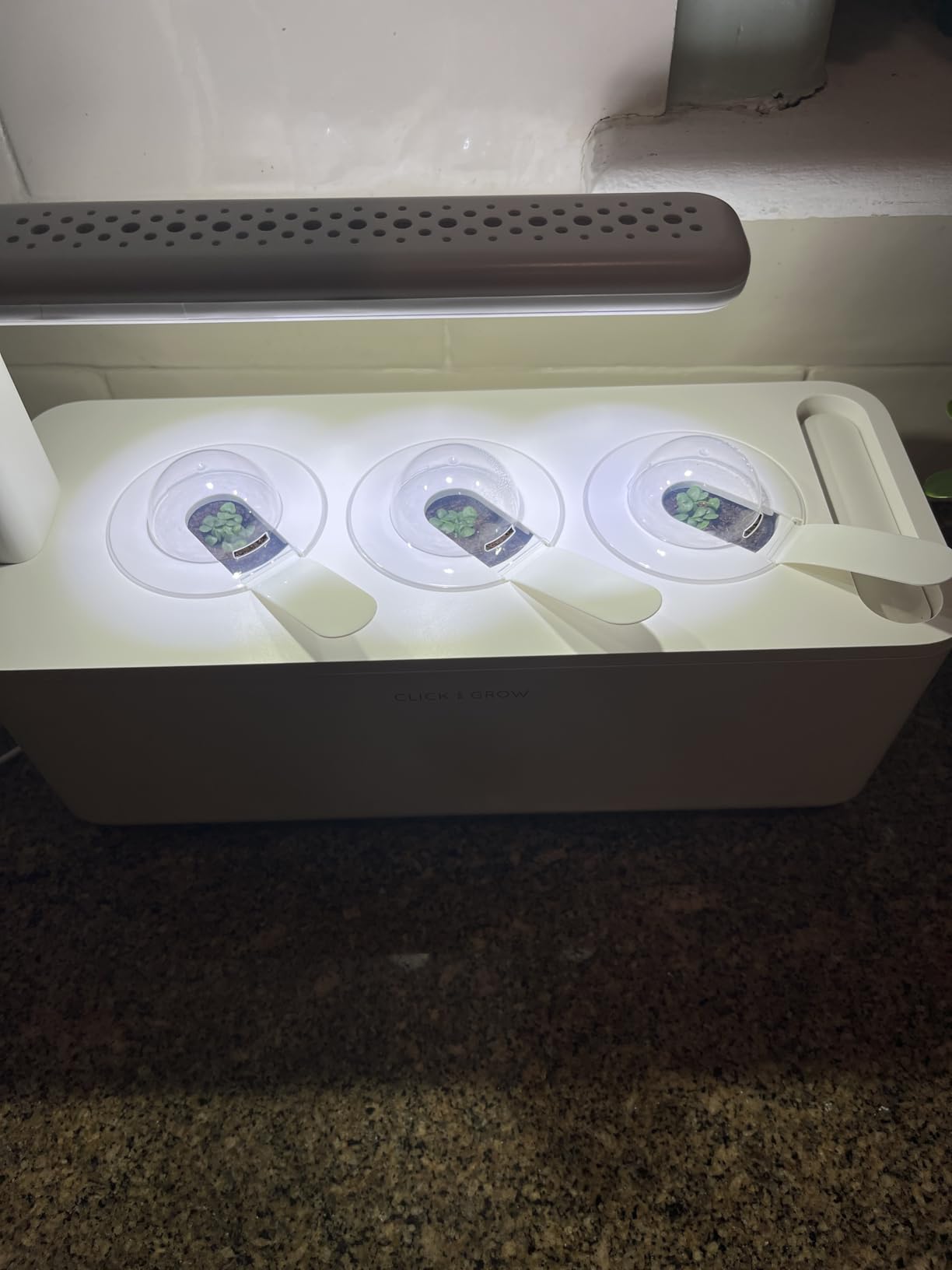 Click & Grow Indoor Herb Garden Kit with Grow Light | Smart Garden for Home Kitchen Windowsill | Easier Than Hydroponics Growing System customer photo 2