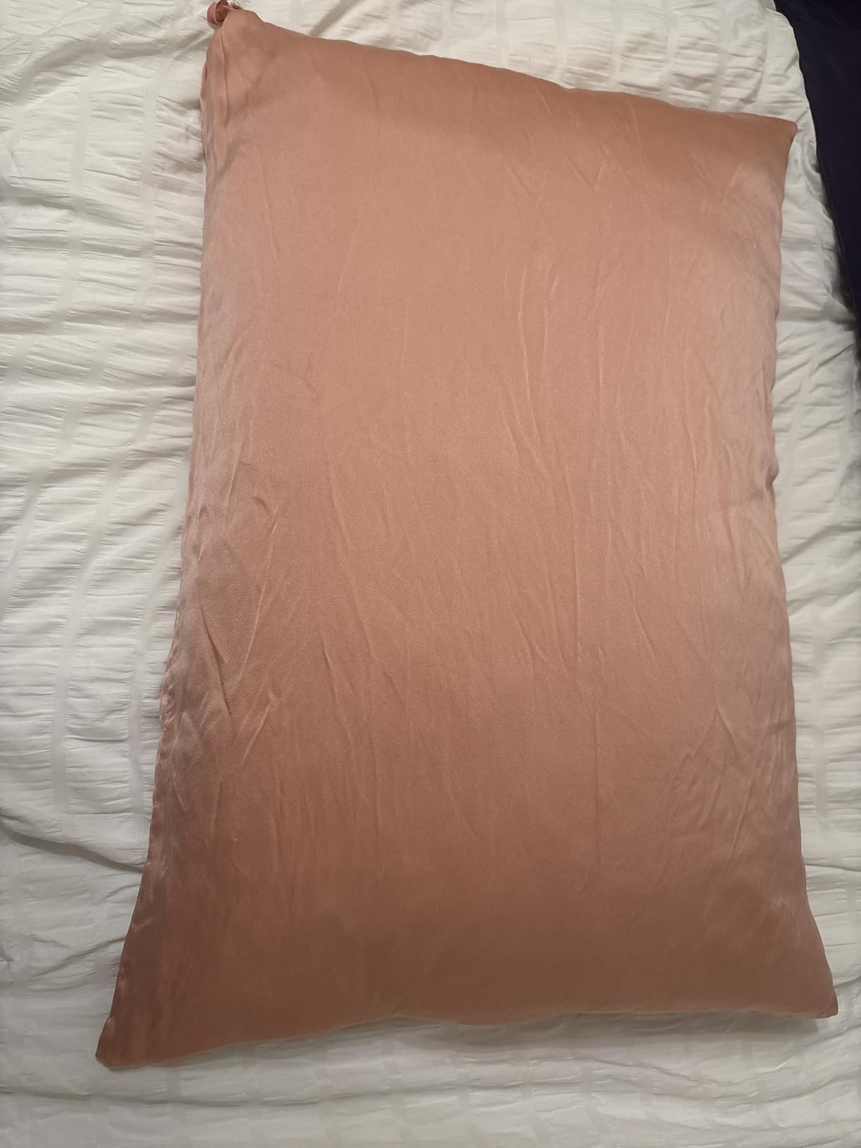 ZIMASILK 100% Pure Mulberry Silk Pillowcase for Hair and Skin Health, Soft and Smooth, Both Sides Premium Grade 6A Silk, 600 Thread Count, with Hidden Zipper, 1pc (Standard 20''x26'', Ivory) customer photo 1