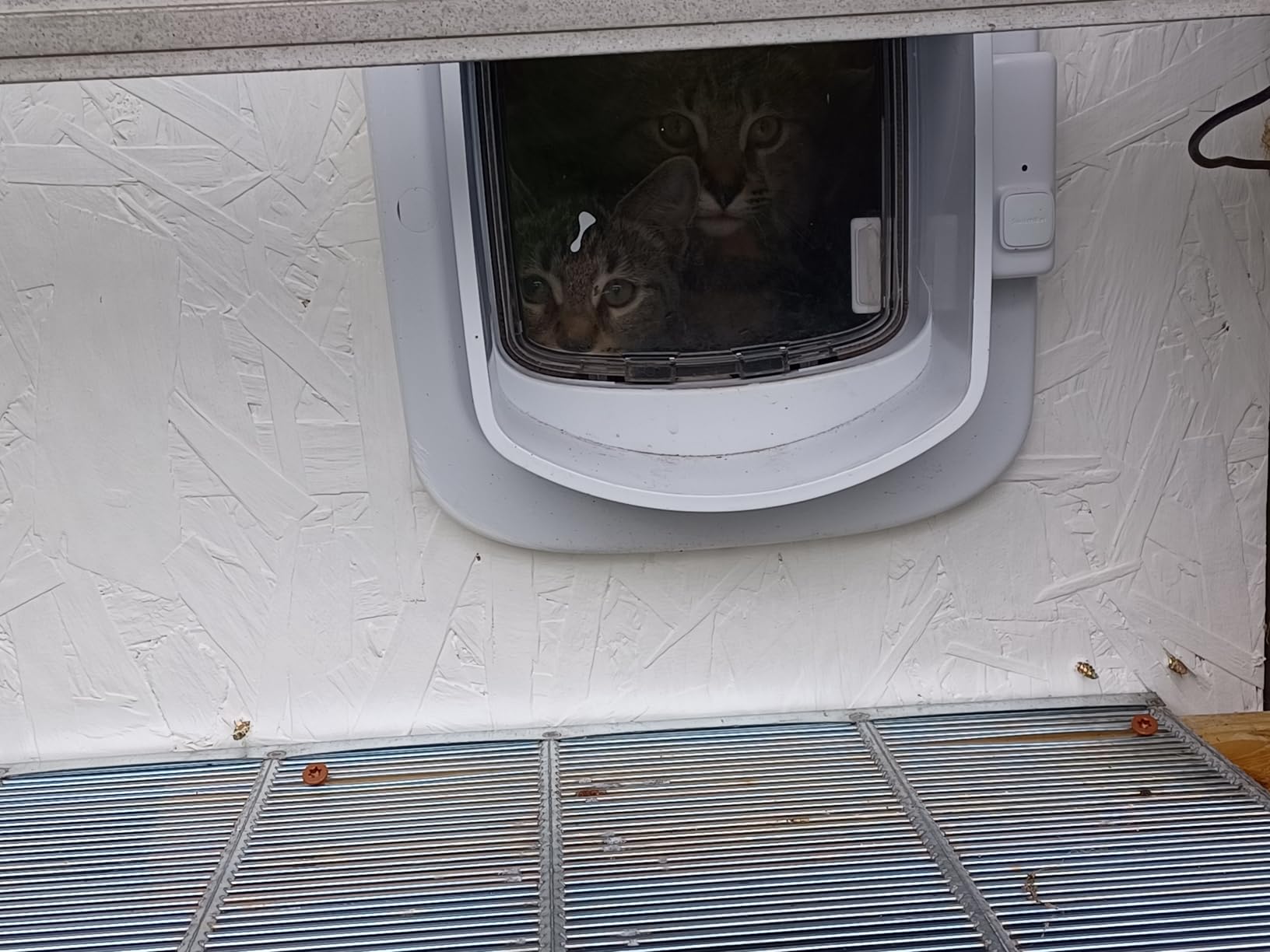 PetSafe Microchip Cat Door - Smart Programmable Collar Door with 4-Way Locking System, Energy Efficient Seal, Durable Plastic Flap & Low Battery Indicator - Battery Powered in & Out Freedom customer photo 1