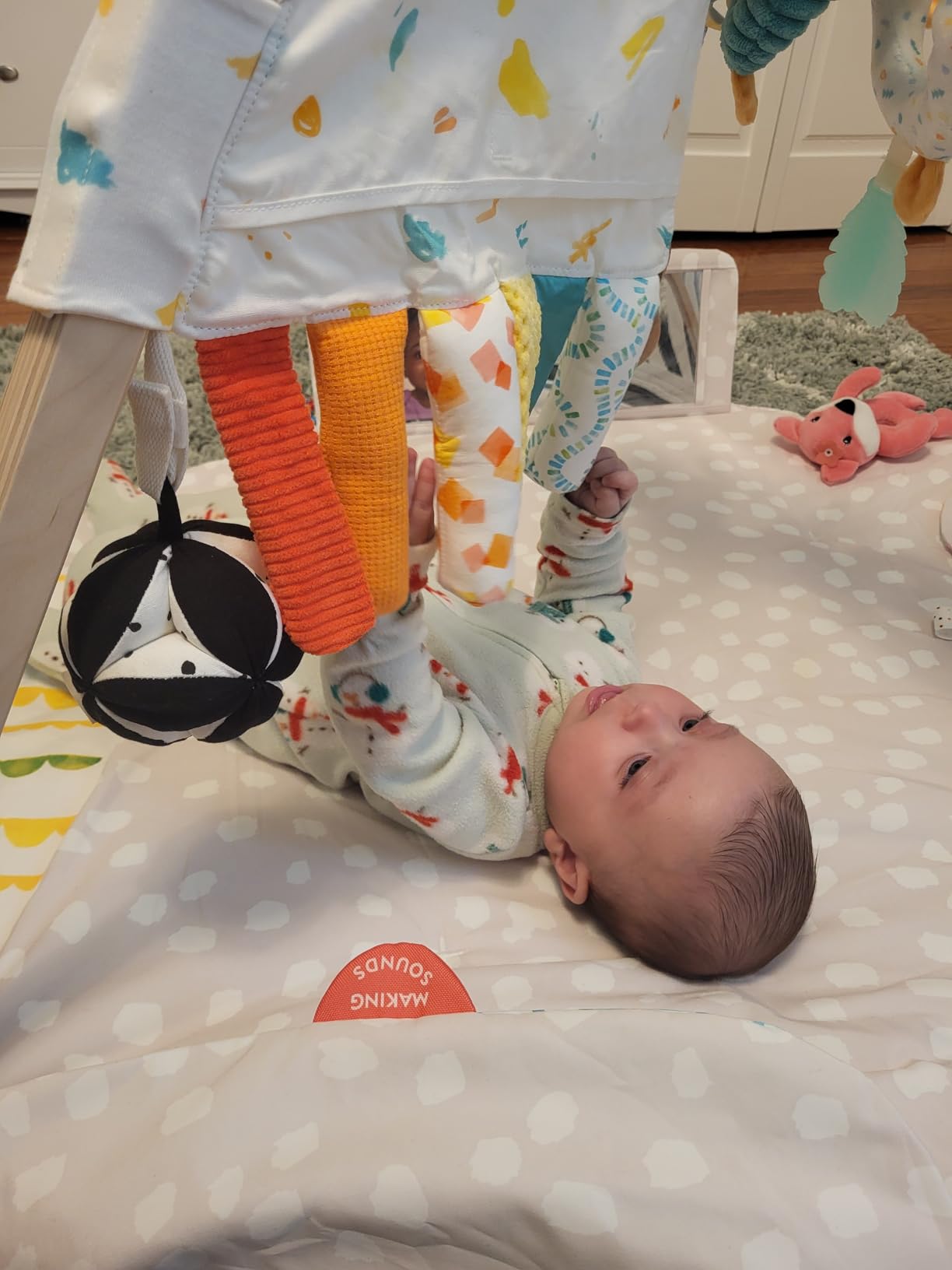 LOVEVERY The Play Gym | Award Winning Stage-Based Developmental Activity Gym & Play Mat customer photo 2