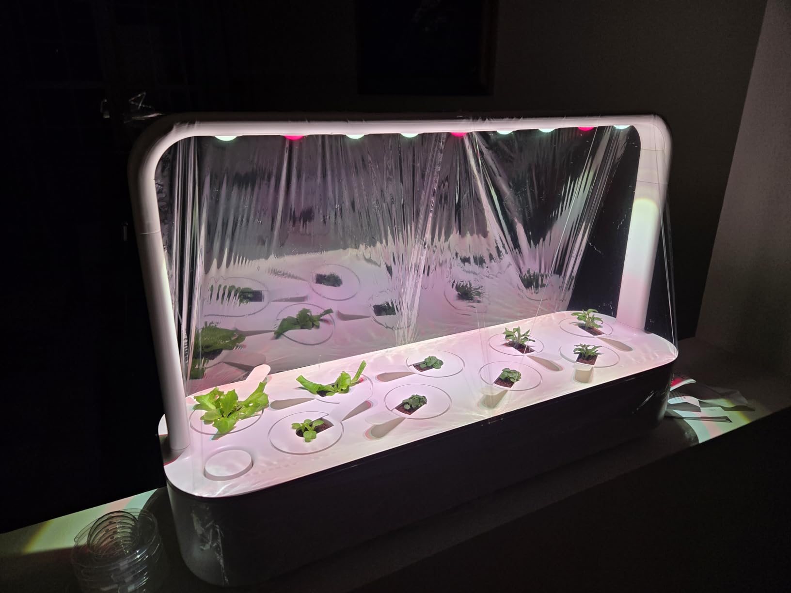 Click & Grow Indoor Herb Garden Kit with Grow Light | Easier Than Hydroponics Growing System | Smart Garden for Home Kitchen Windowsill | Vegetable & Herb Garden Starter Kit with 9 Plant pods, Gray customer photo 2