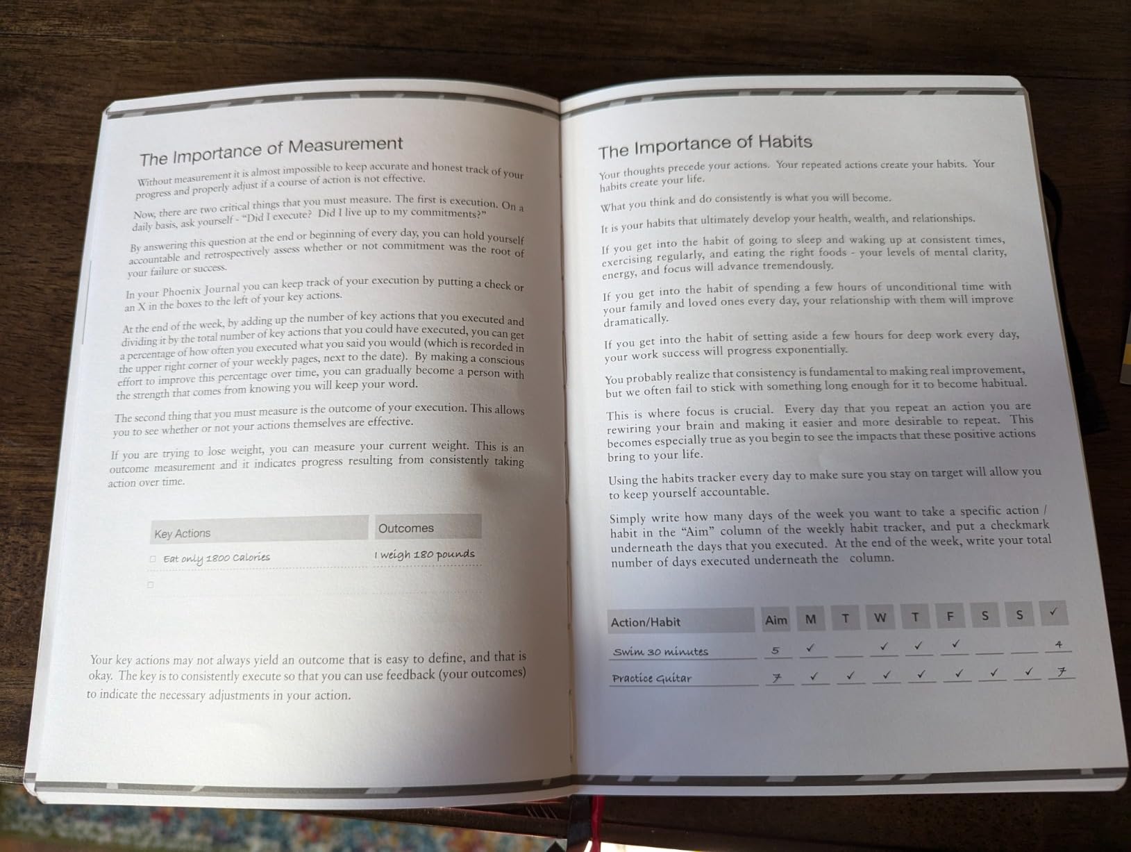 The Phoenix Journal - Quarterly Goal Planner & Daily Journal for Focus, Productivity & Clarity - 12 Week Undated Roadmap with Vision & Goal Setting customer photo 1