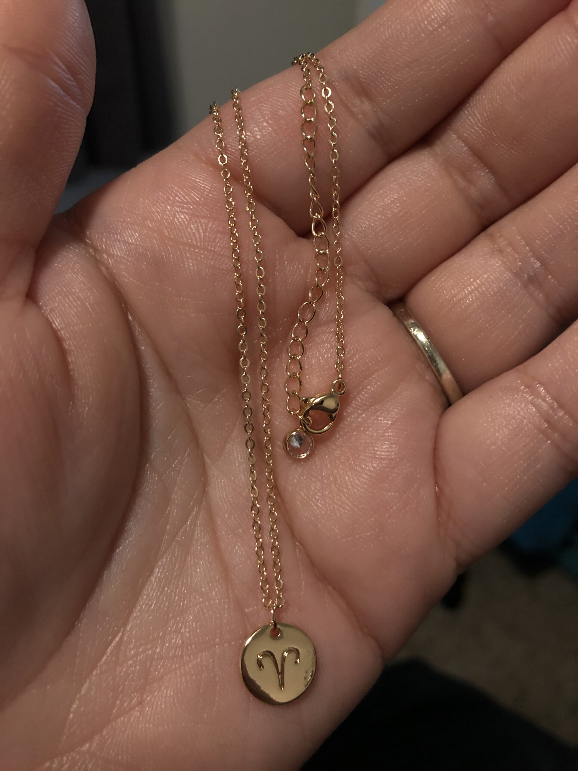 Constellation Necklace Pendant 14K Gold-Plated Hammered Round Disc Engraved Zodiac Sign Pendant 17.5'' Adjustable Dainty Necklace customer photo 1