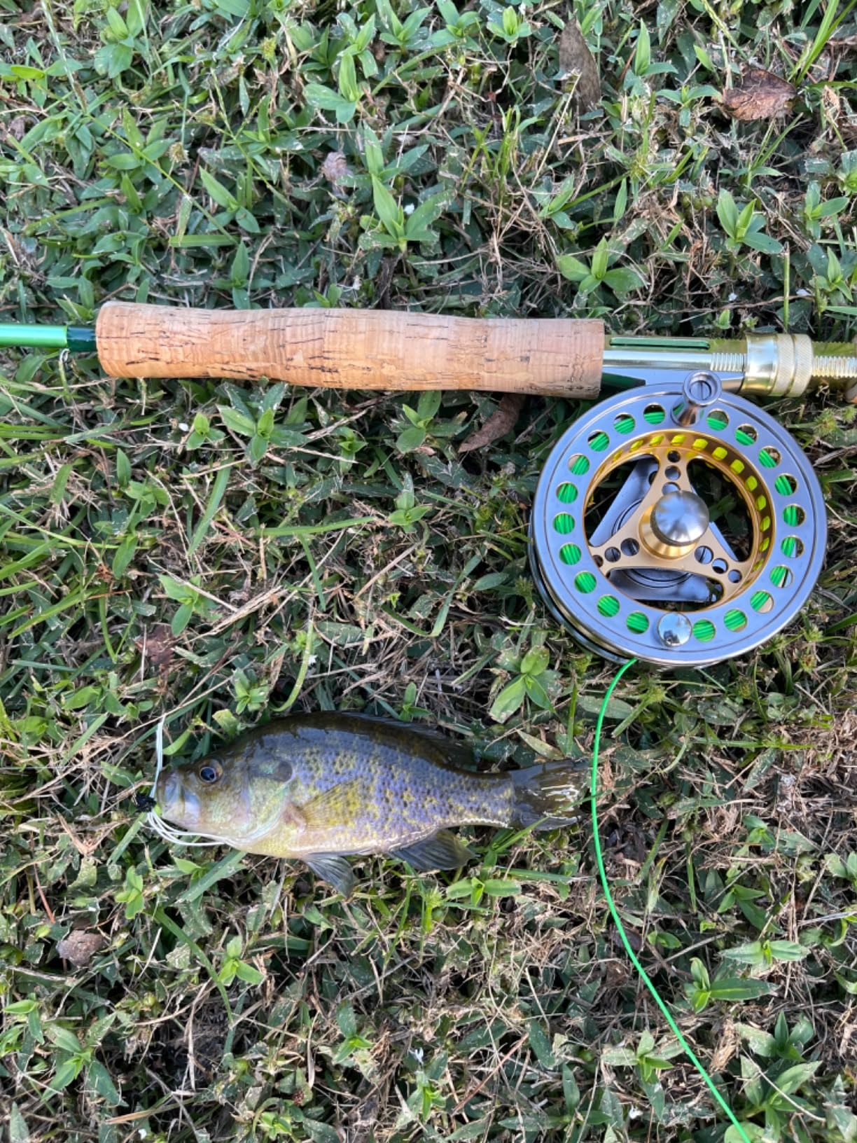 Sougayilang Fly Fishing Rod Reel Combos with Lightweight Portable Fly Rod and CNC-machined Aluminum Alloy Fly Reel,Fly Fishing Complete Starter Package customer photo 2