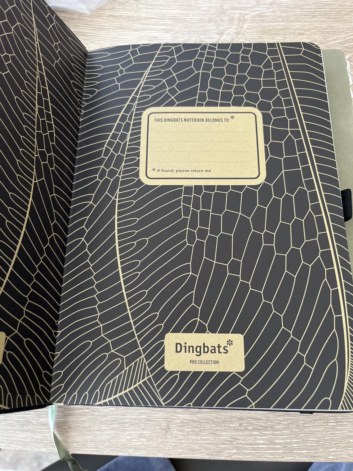 Dingbats* Earth Dotted Writing Journal Notebook A5 - Vegan Leather Hardcover - Ideal for Work, Travel - Pocket, Elastic Closure & Bookmark customer photo 2