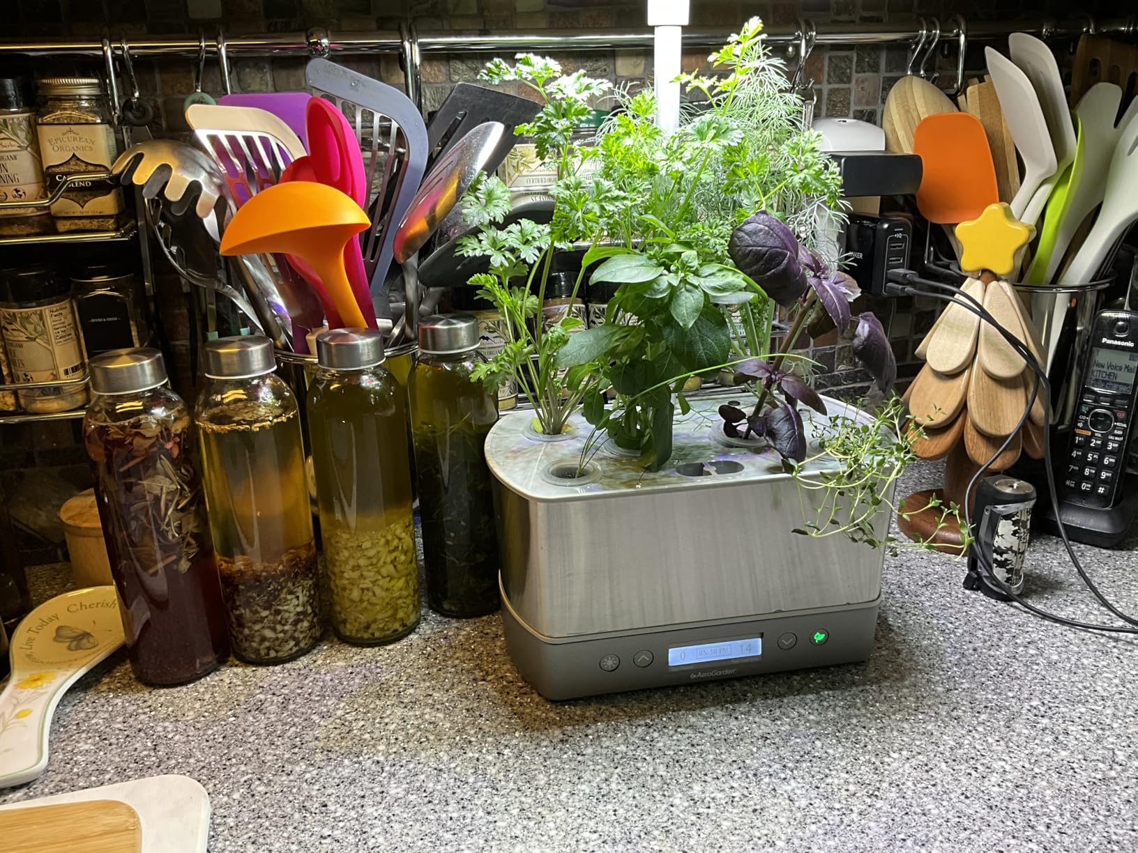 Harvest Elite Indoor Garden Hydroponic System with LED Grow Light and Seed Kit, Holds up to 6 Pods, Stainless Steel customer photo 1