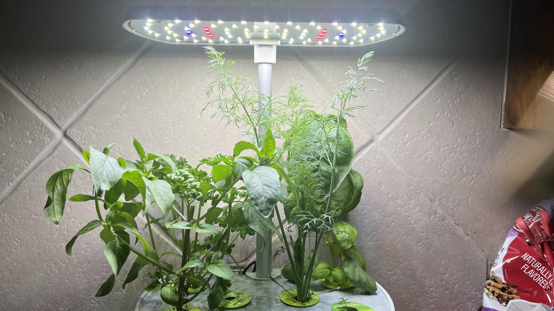 Harvest Elite Indoor Garden Hydroponic System with LED Grow Light and Seed Kit, Holds up to 6 Pods, Stainless Steel customer photo 2