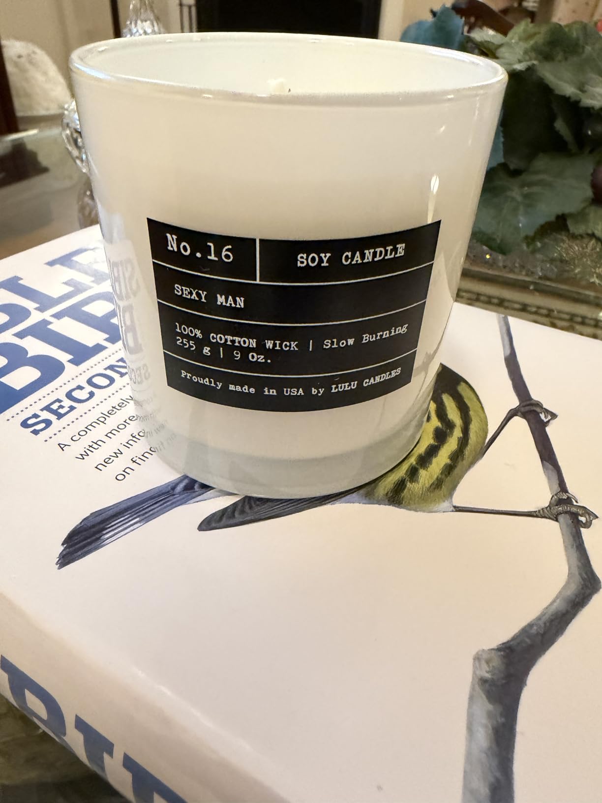 Lulu Candles | Jasmine, Oud & Sandalwood | Luxury Scented Soy Jar Candle | Hand Poured in The USA | Highly Scented & Long Lasting (9 Oz.) customer photo 2