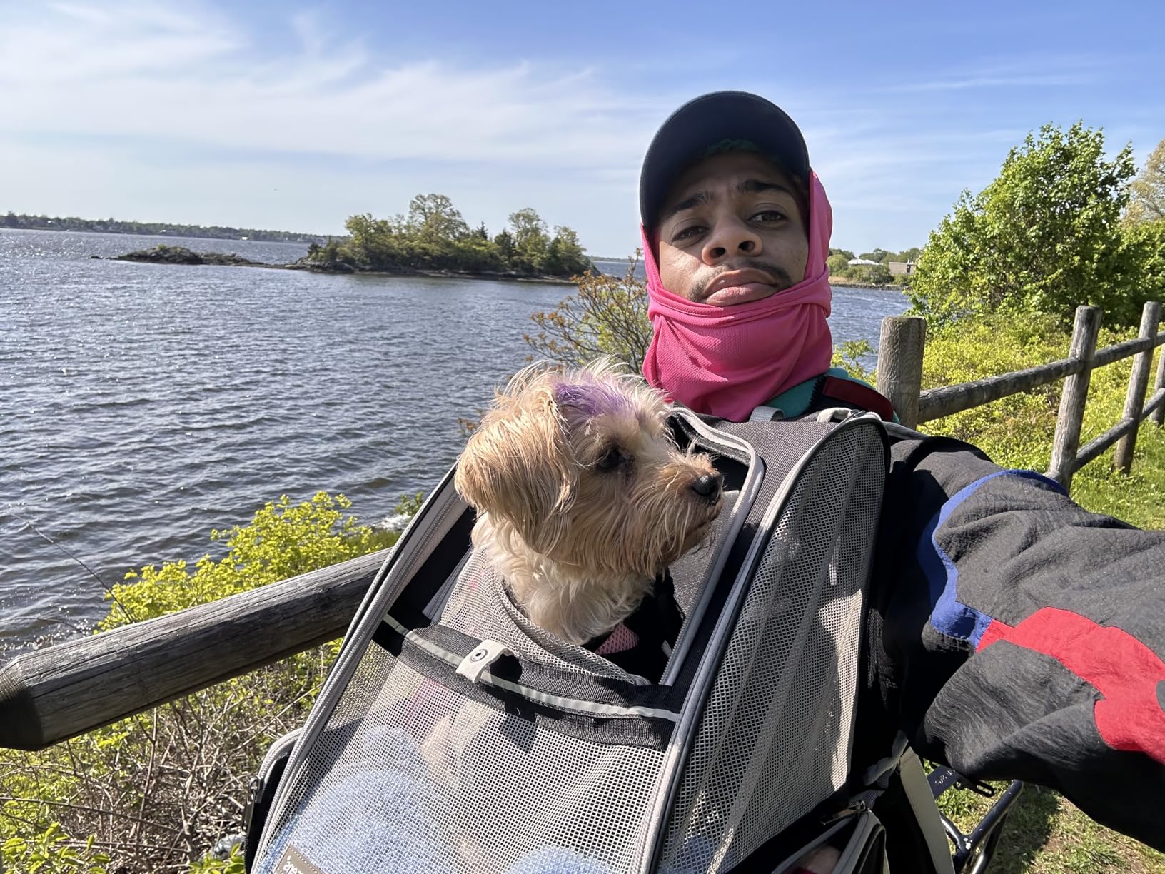 Texsens Innovative Traveler Bubble Backpack Pet Carriers for Cats and Dogs (Black) customer photo 2