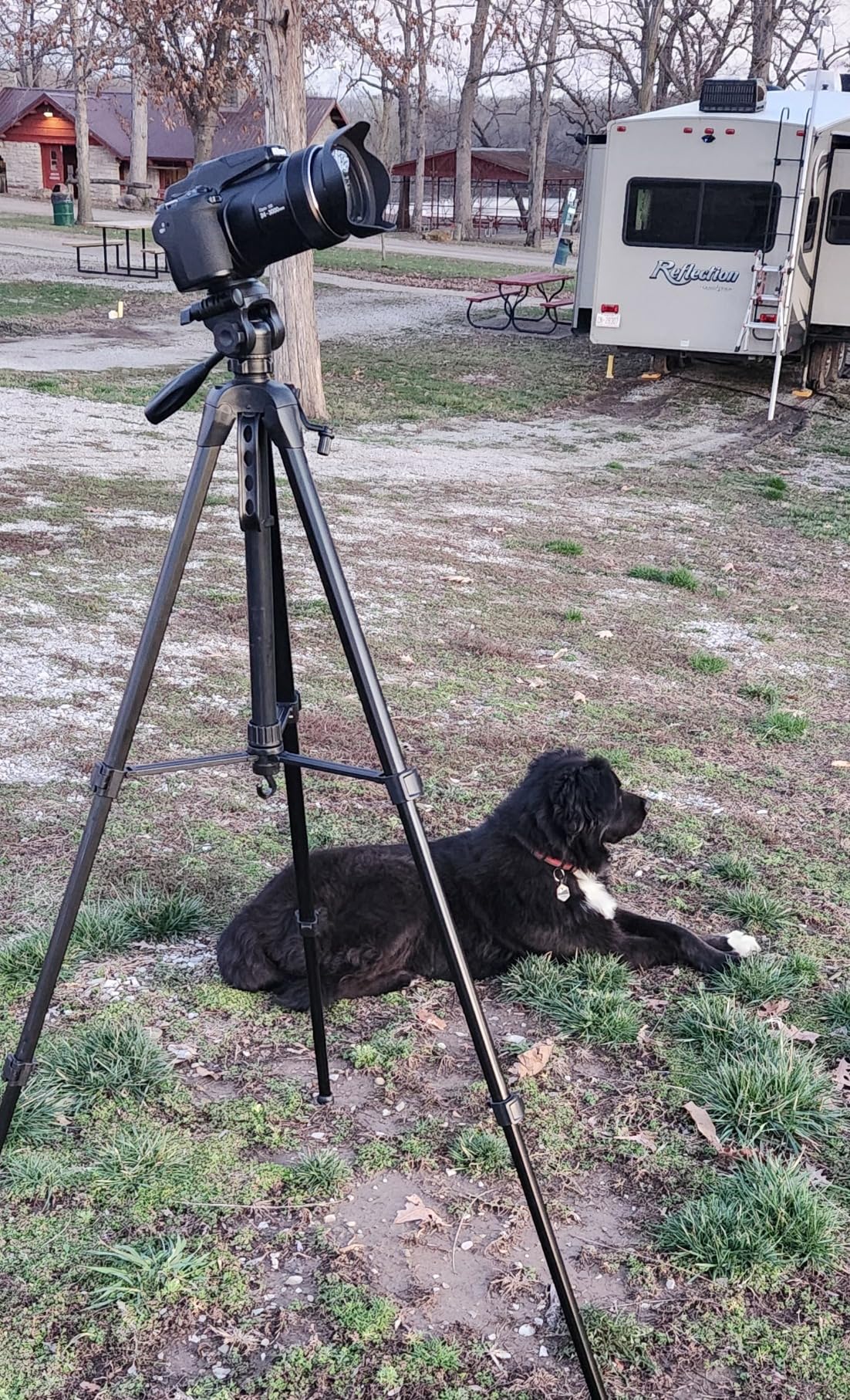 Sirui AM-124 Carbon Fiber Tripod with Triangular Center Column, 62.6 inch Compact Travel Tripod for Camera, 4 Sections, Waterproof Twist Lock, Load 26.5lbs customer photo 2