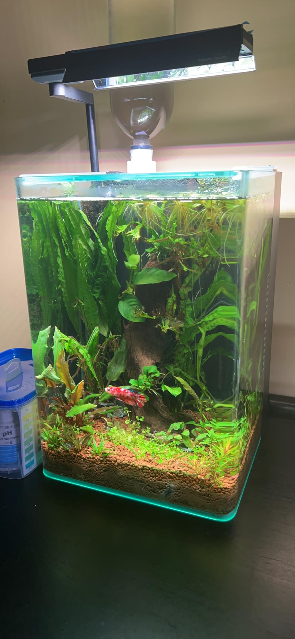Ultum Nature Systems Controsoil - Freshwater Aqua Soil Substrate - Brown, Normal (1 Liter) customer photo 1