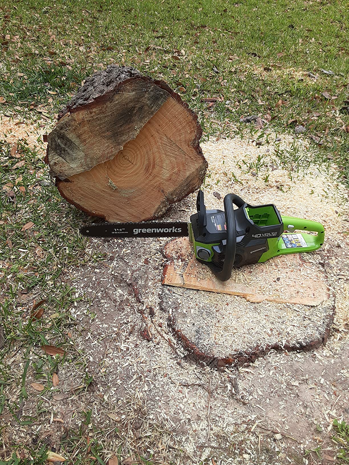 Greenworks 40V 14-Inch Cordless Chainsaw, 2.5Ah Battery Included customer photo 1