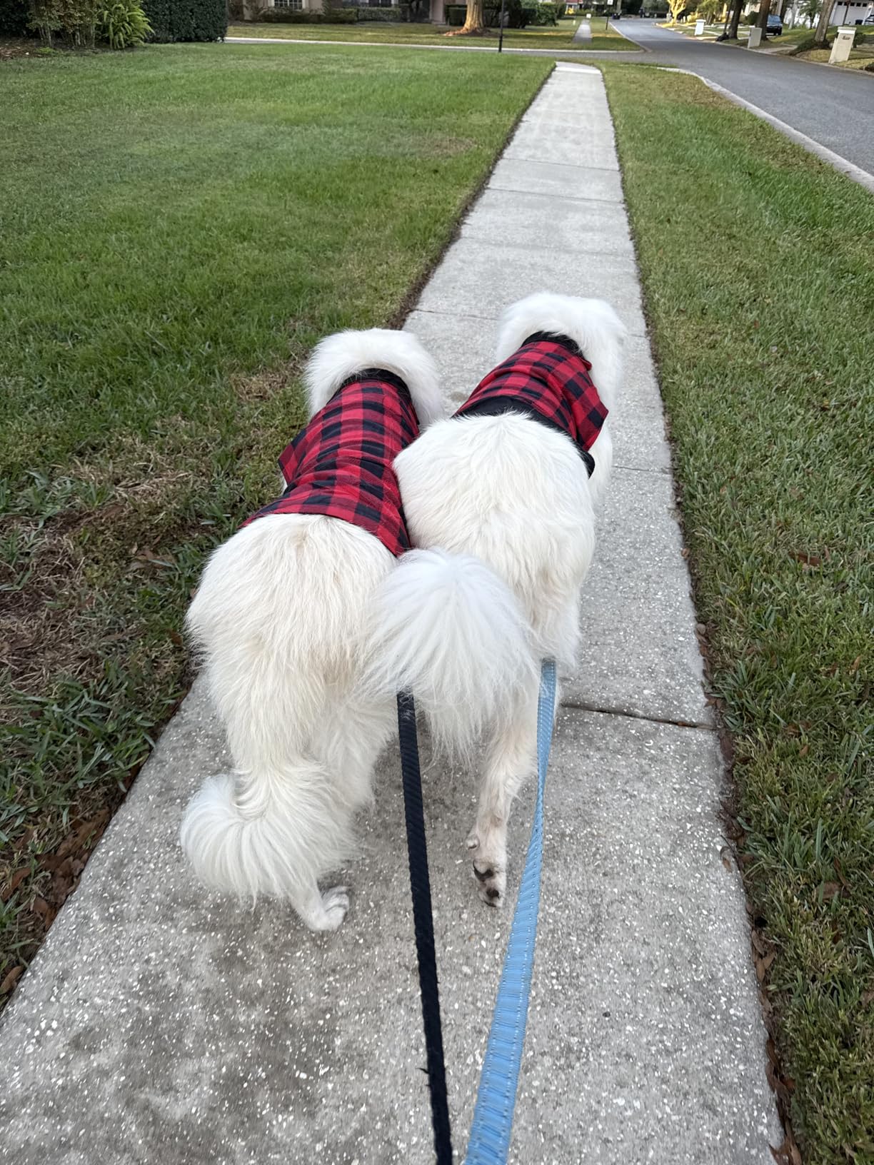 #followme Matching Adult Onesie for Family, Couples, Dog and Owner Buffalo Plaid customer photo 1