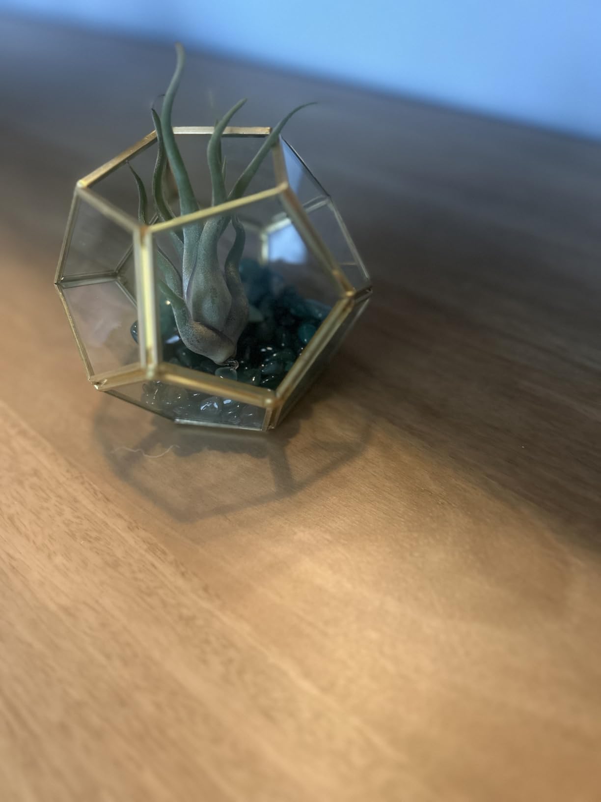 Mkono 4 Inches Mini Glass Geometric Terrarium Container Set of 3 Modern Tabletop Planter Shelves Decor Display Centerpiece for Succulent Miniature Fairy Garden Air Plant, Black(Plant Not Included) customer photo 1