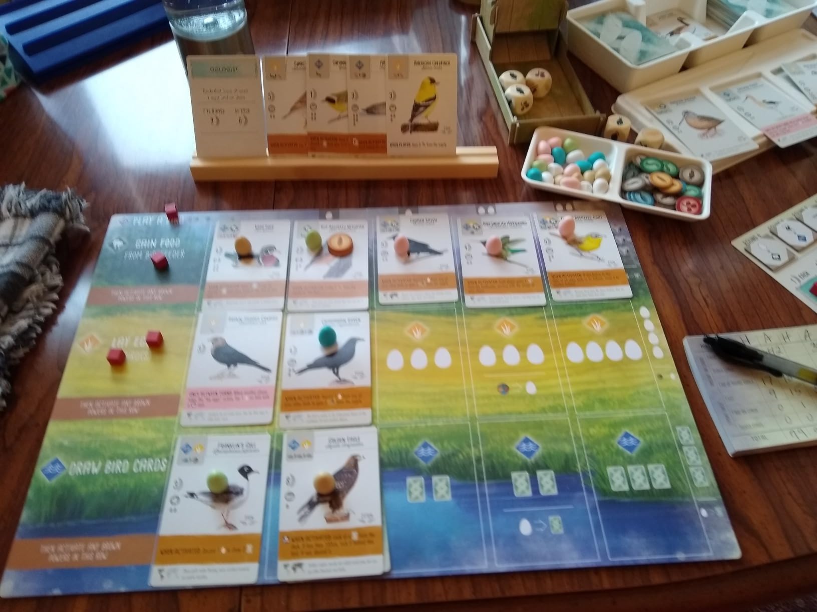 Stonemaier Games: Wingspan (Base Game) by Elizabeth Hargrave | A Relaxing, Award-Winning Strategy Board Game About Collecting Birds for Adults and Family | 1-5 Players, 70 Mins customer photo 2