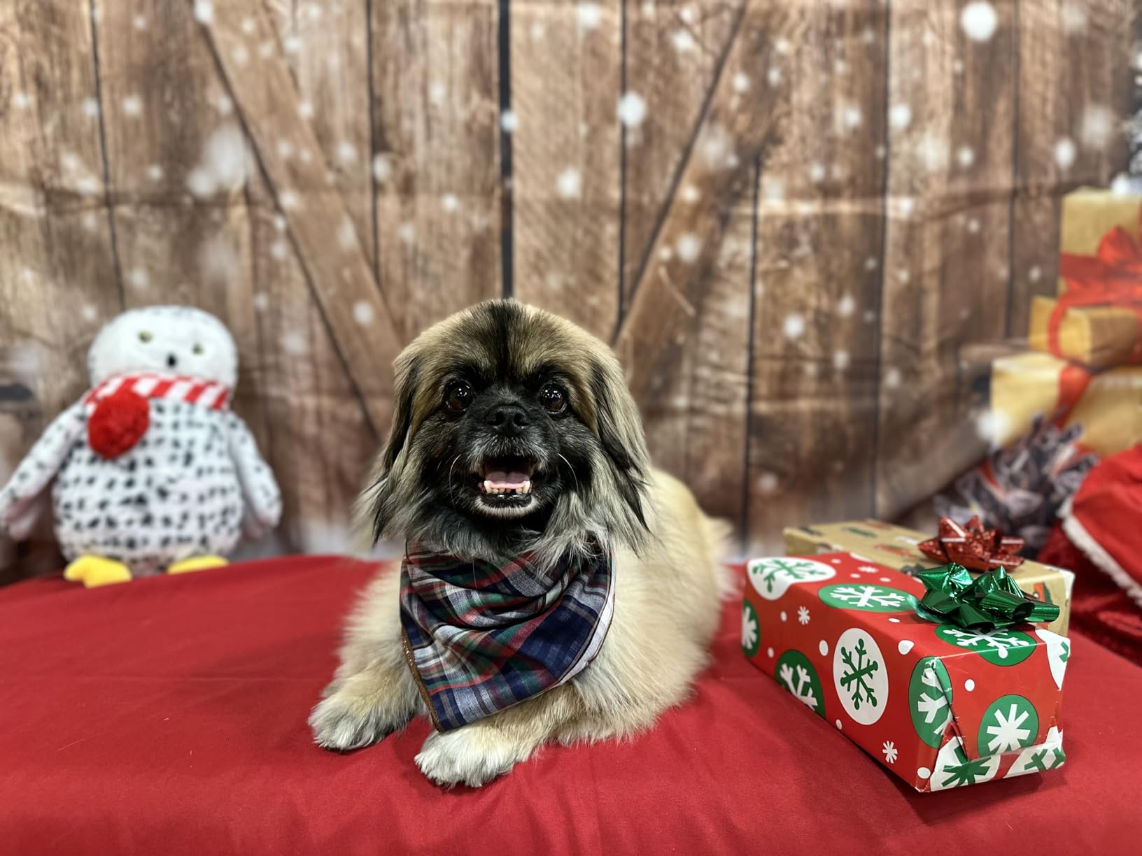 Christmas Dog Bandanas, 6PCS Plaid Holiday Dog Bandanas for Boy Girl, Washable Reversible Cotton Bibs Scarf, Adjustable Square Pet Kerchief Birthday Christmas Gift for Small to Large Dogs Puppy Cats customer photo 2