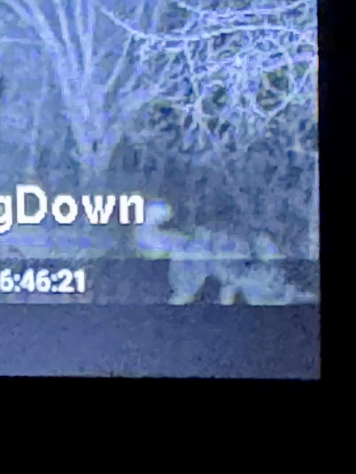 GardePro A3S Trail Camera (Non-Cellular, Non-WiFi), 64MP Photo & 1296P HD Video, 0.1s Trigger, 100ft No-Glow Night Vision, Motion Activated Wildlife Camera customer photo 2