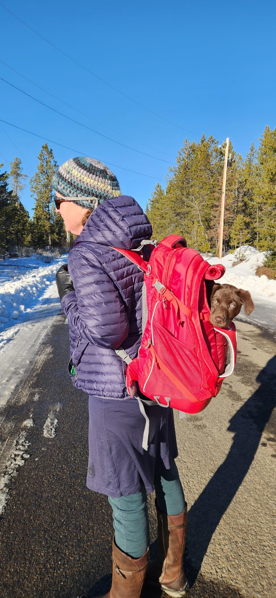 Kurgo G-Train Dog Carrier Backpack - Comfortable Travel Bag for Pets Up to 25 lbs - Waterproof Bottom - Multi-Compartment Pack - Dog Hiking Gear - Rugged Adventure Backpack - Red customer photo 2