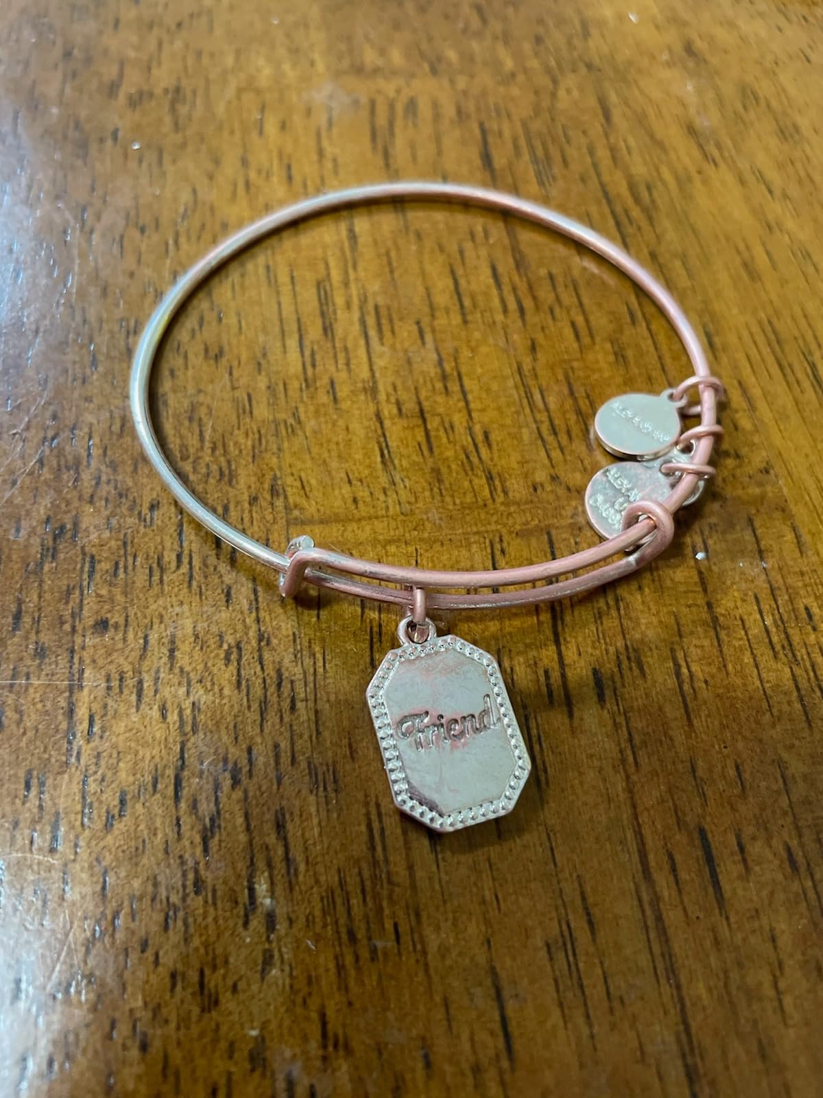 Alex and Ani Friend 'United by Soul, Let the Good Times Roll' Charm Bangle customer photo 2