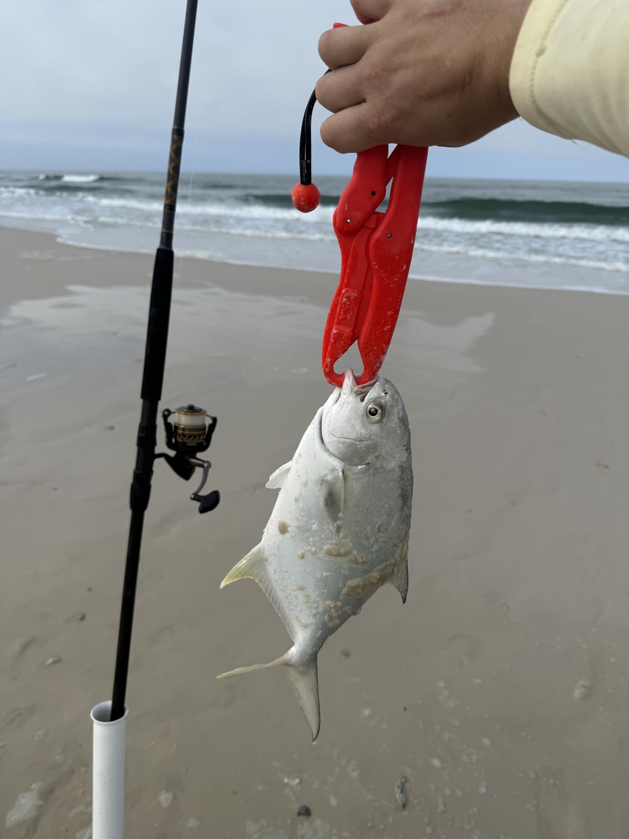 Penn Squadron III Surf Spinning Fishing Rod customer photo 1