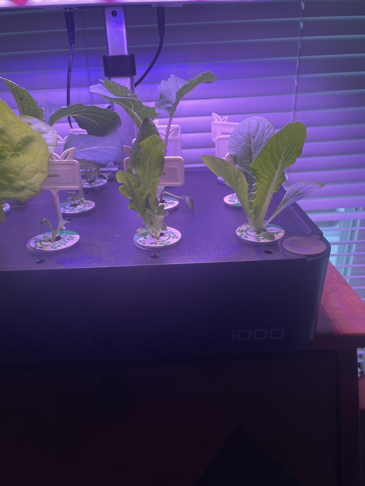 iDOO Hydroponics Growing System Kit 12Pods, Indoor Herb Garden with LED Grow Light, Built-in Fan, Auto-Timer, Adjustable Height Up to 11.3