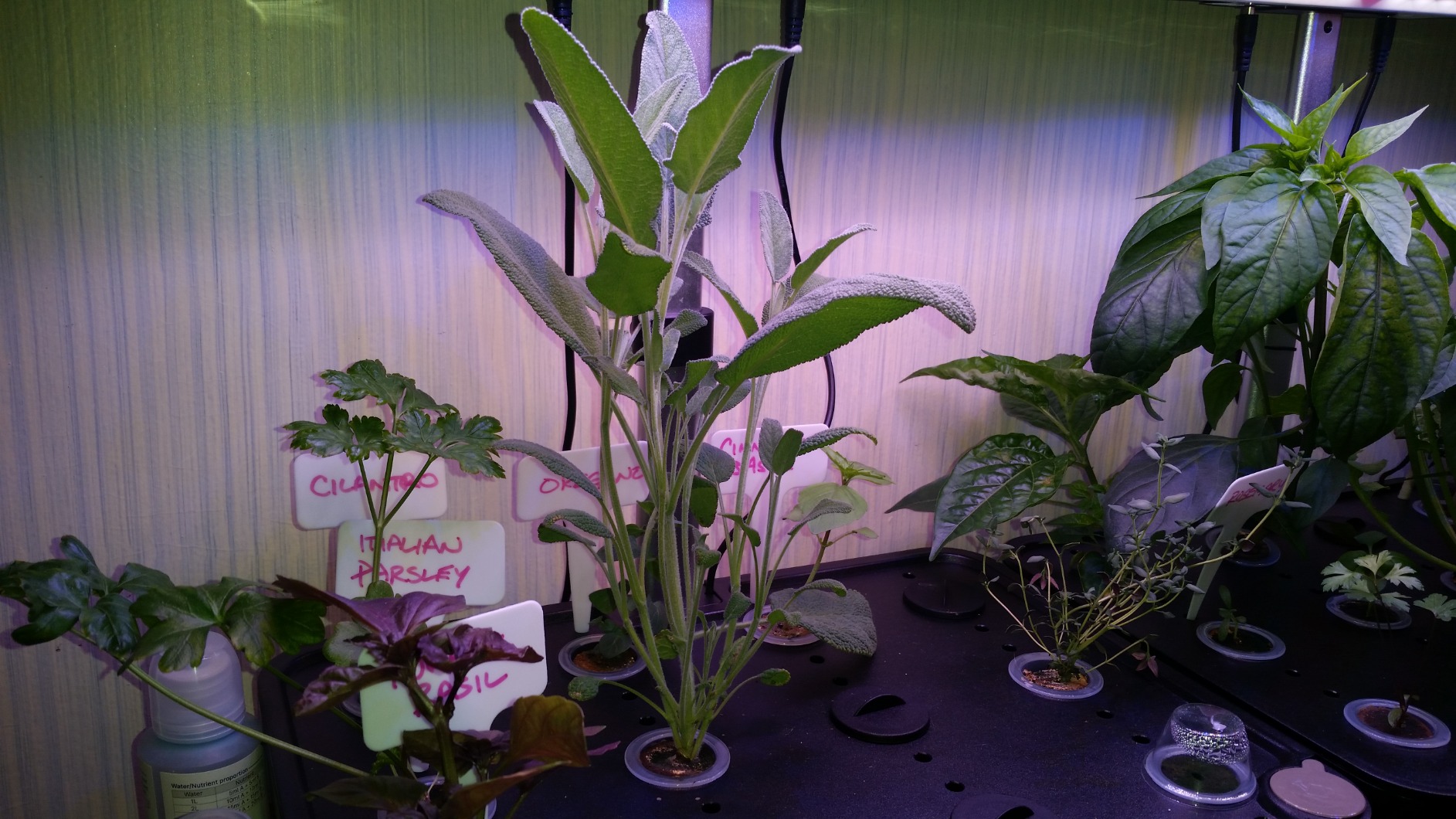 iDOO Hydroponics Growing System Kit 12Pods, Indoor Herb Garden with LED Grow Light, Built-in Fan, Auto-Timer, Adjustable Height Up to 11.3