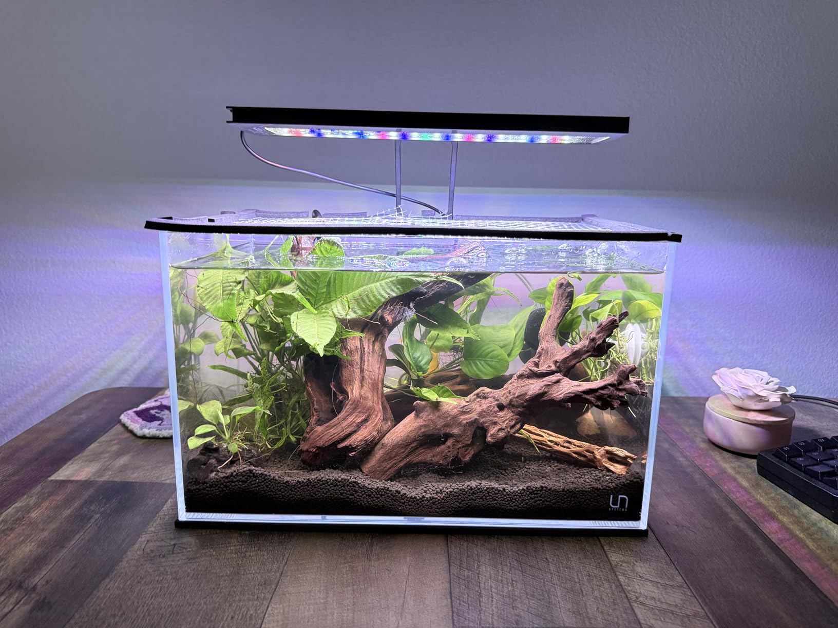 Ultum Nature Systems Ultra Clear Rimless Aquarium - Low Iron Glass Fish Tank with 45° Mitered Edges, 5mm-12mm Thick, Leveling Mat Included (5S, Shallow, 2 Gallon) customer photo 2