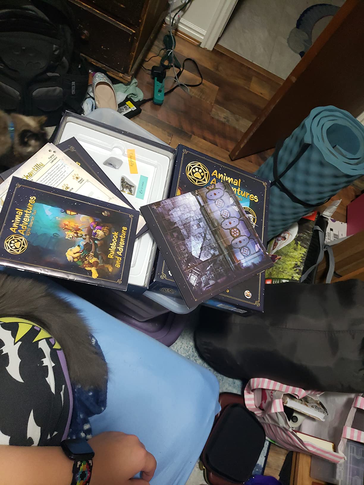 Animal Adventures: Starter Set - Beginners Roleplaying Tabletop Game 5E Compatible customer photo 1