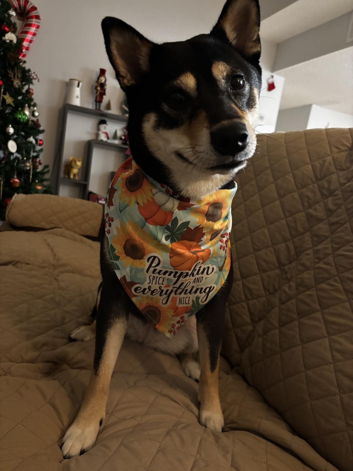 Weewooday 9 Pcs Holiday Dog Bandanas St' Patrick's Day Easter Bandanas Birthday Scarf Adjustable Large Pet Washable Scarves for Large Dog Supply(Fresh Pattern) customer photo 2