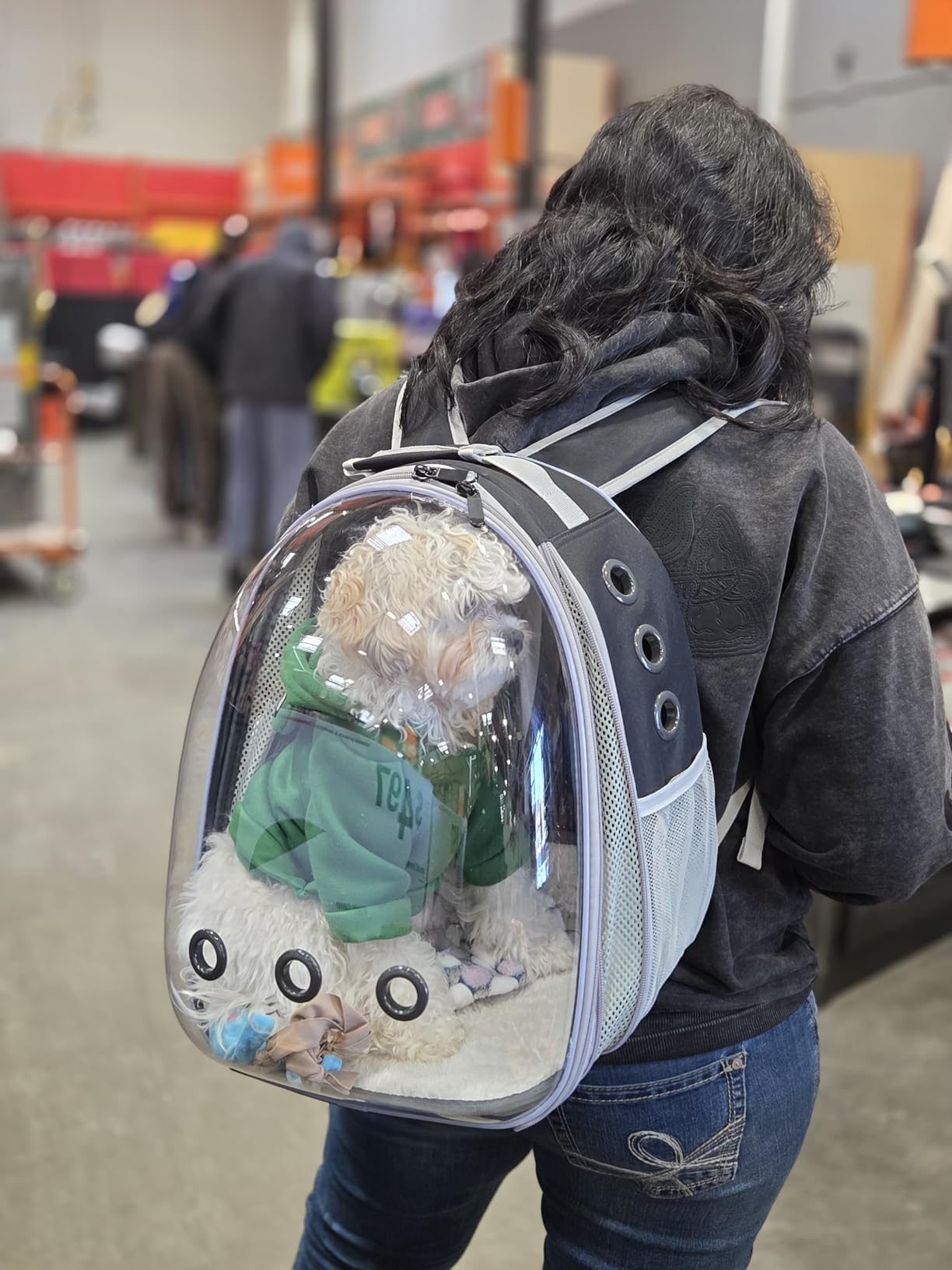 Lollimeow Cat Carrier Backpack, Expandable Bubble Pet Carrier for Cats and Small Dogs, Airline Approved Travel Backpack for Hiking, Walking & Outdoor Adventures - Supports up to 16 lbs customer photo 1