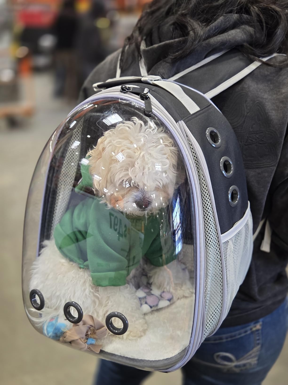Lollimeow Cat Carrier Backpack, Expandable Bubble Pet Carrier for Cats and Small Dogs, Airline Approved Travel Backpack for Hiking, Walking & Outdoor Adventures - Supports up to 16 lbs customer photo 2