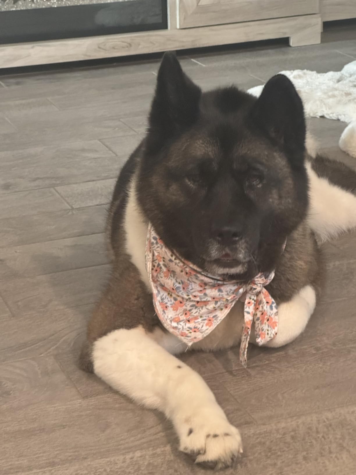 E-Clover Dog Bandanas & Matching Scrunchie Set Girl Cute Flower Dog Scarf Bibs Pet Bandana with Bow Tie for Small Dogs Puppy Owner Spring customer photo 2